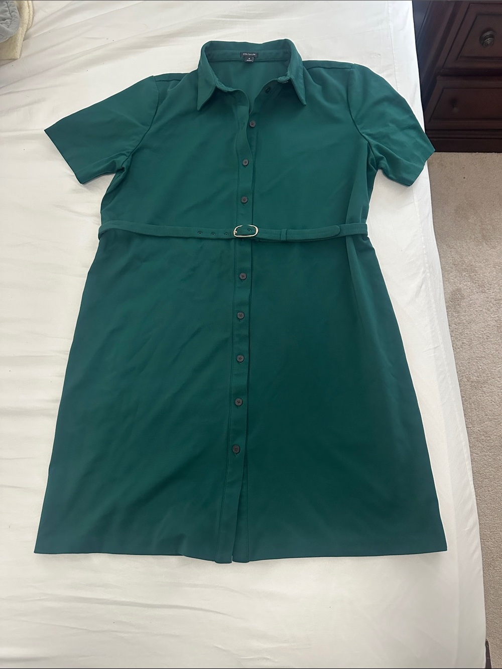 Ann Taylor Classic Short-Sleeve Green Belted Shirt Dress (this season not worn)